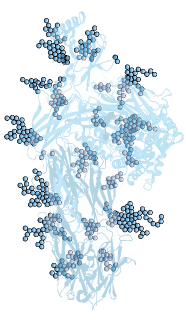 Blue Circles = carbohydrates