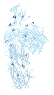 Stalk Image = HA protein amino acids